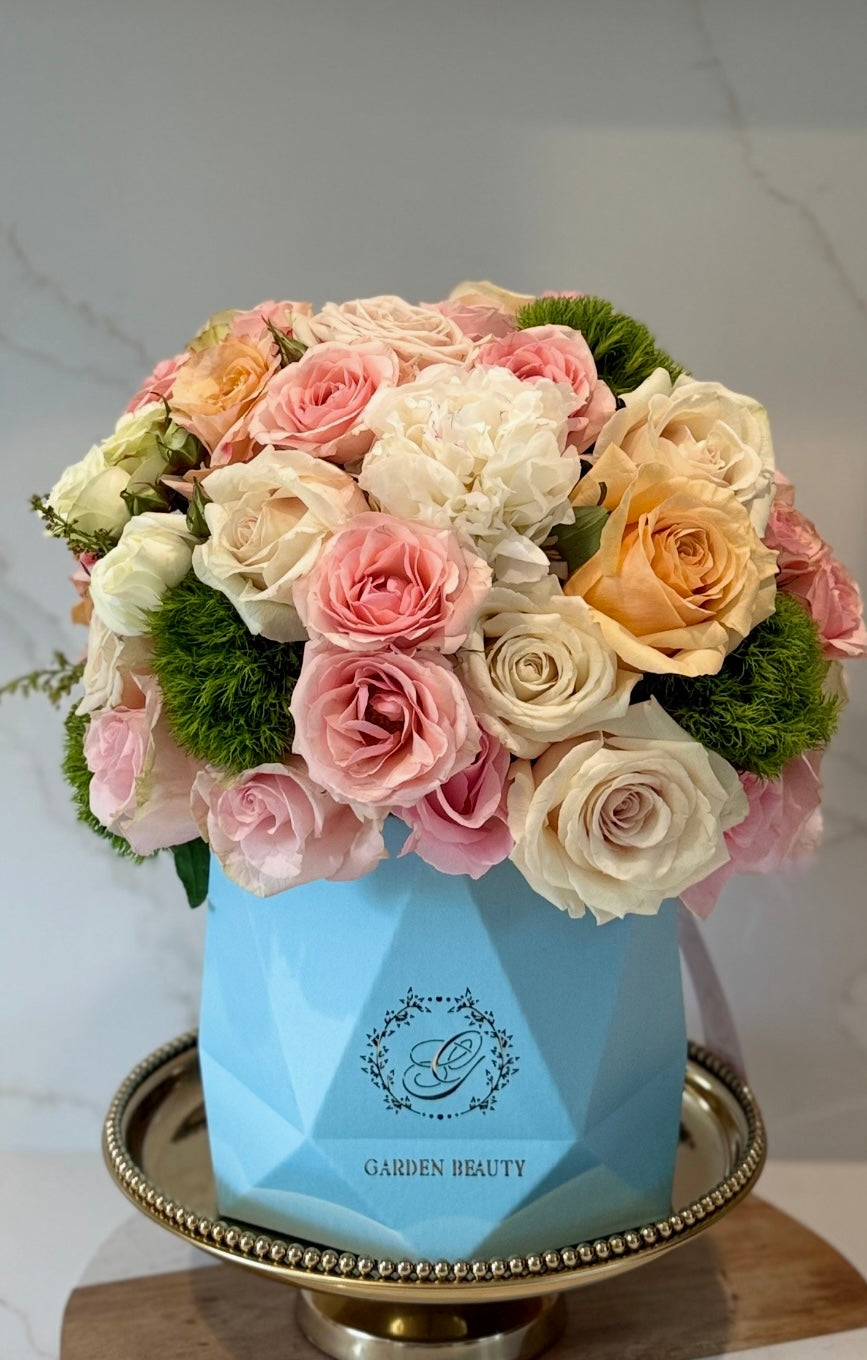 Penelope arrangement