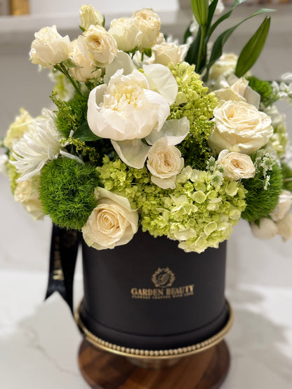 Francine Arrangement